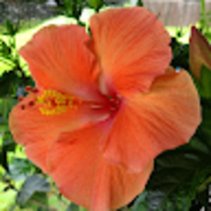 Meet your Posher, Karisa